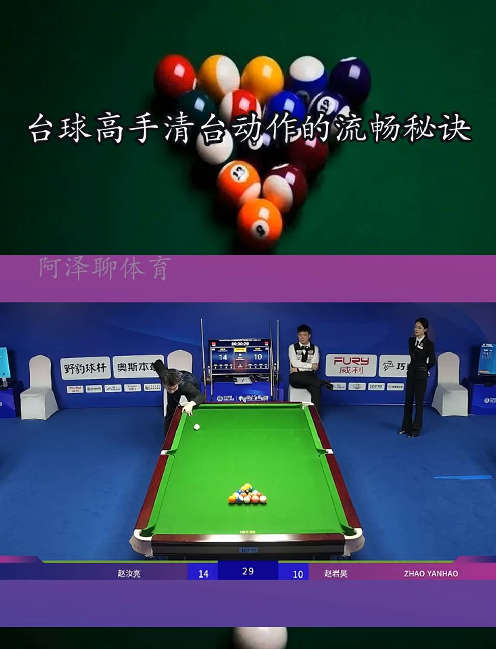 包含赛场内幕：台球高手的训练秘籍的词条