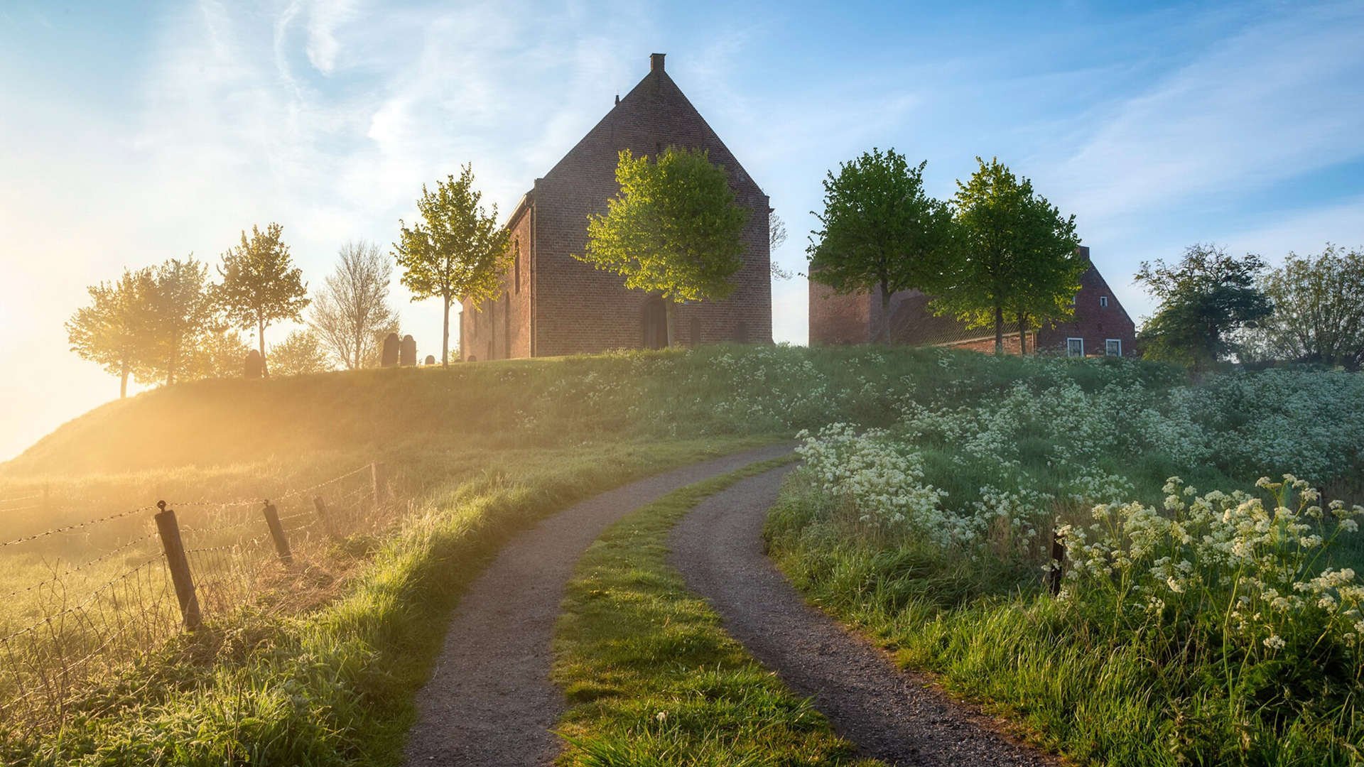 墨西哥队在巴黎奥运会比赛中展现出强大的远射能力，奥运墨西哥巴西