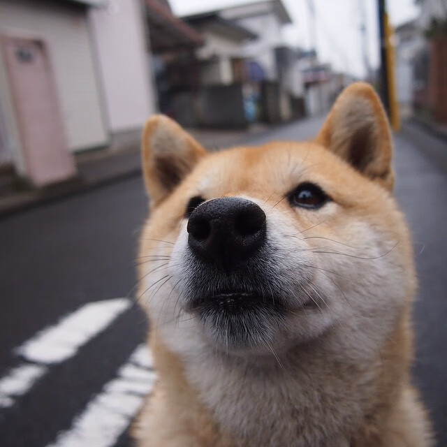 爱游戏平台-极限吊索荡秋千，飞越高空的绝佳体验，吊秋千的吊怎么写