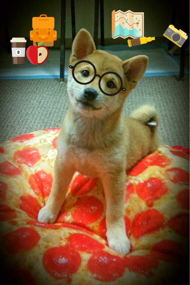 赫塔菲门将神扑救险场,赢得众人赞誉,赫塔菲转会