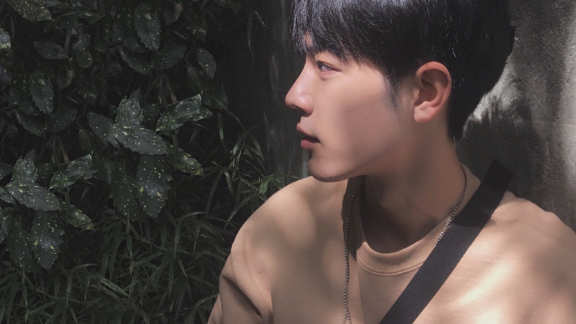 TL YouTube战术解析受好评,t+0战术