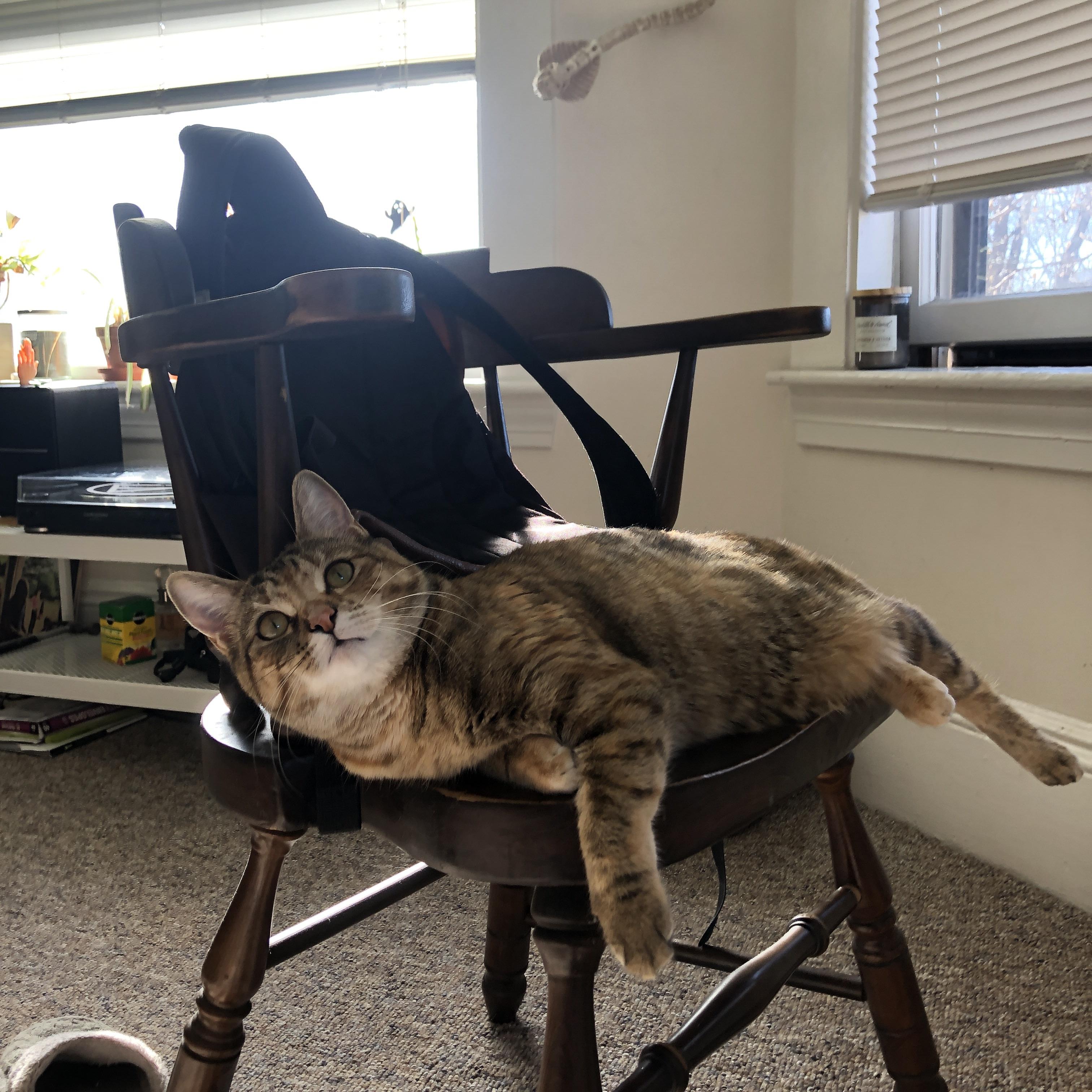 AYX GAME-江苏苏宁客场大败，防守问题待解决，苏宁球场进展