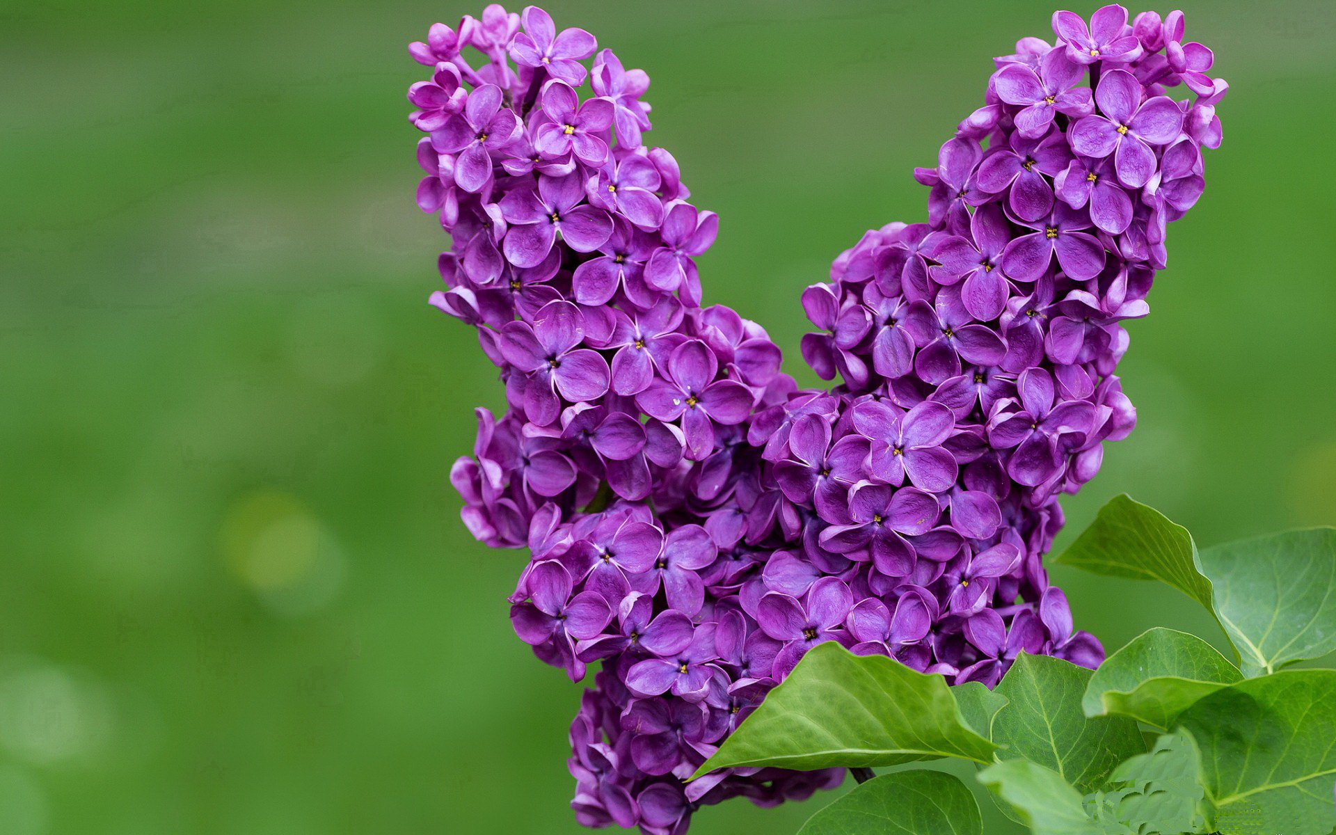 CBA联盟扩大青训投入 推动人才培养体系，cba青少年训练招募