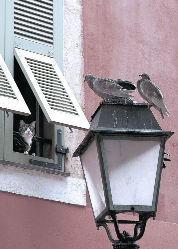 奥运备战重点项目进展顺利,奥运会备战策略