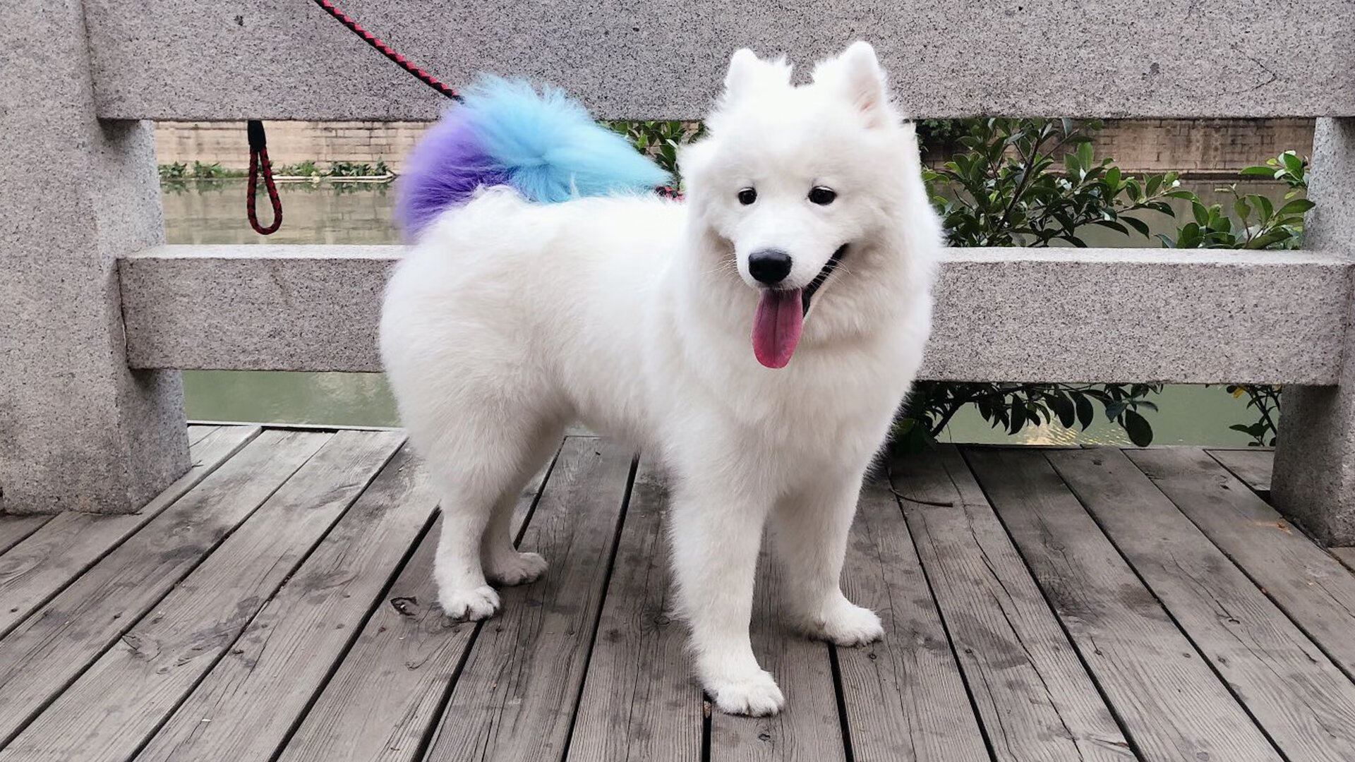 南非水球女将精准传球制胜,南非女子水球队