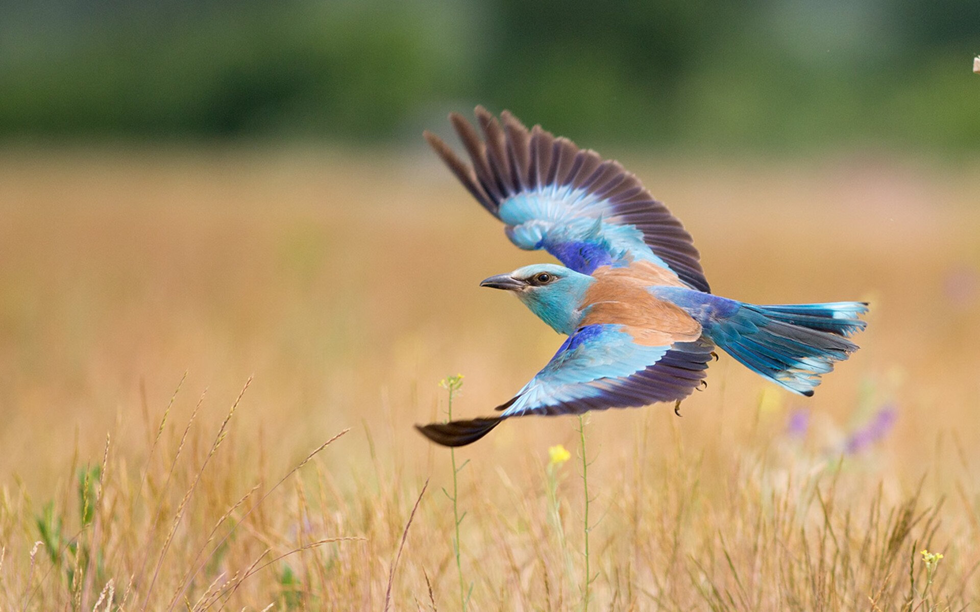 爱游戏 电竞-国家射箭队发布正式选手名单及训练营时间安排，国家射箭队官网