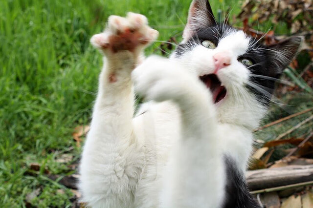 意甲经典场面：攻守精彩纷呈令人陶醉，意甲 足球