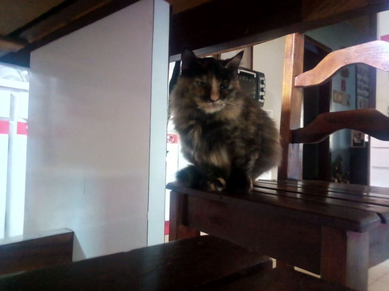 麦考的战术智慧使全黑队战斗力倍增